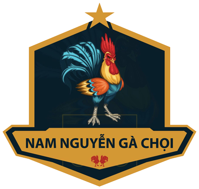 Nam Nguyễn Gà Chọi Quảng Ngãi